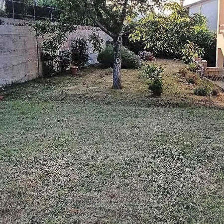 Nerio -avander House Apartamento Múggia